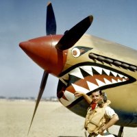 Colorful Curtiss P-40 Warhawk Markings Part 1